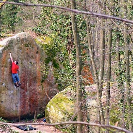 Le Cosy - 2 Pers - Hyper Centre De Fontainebleau Διαμέρισμα Εξωτερικό φωτογραφία